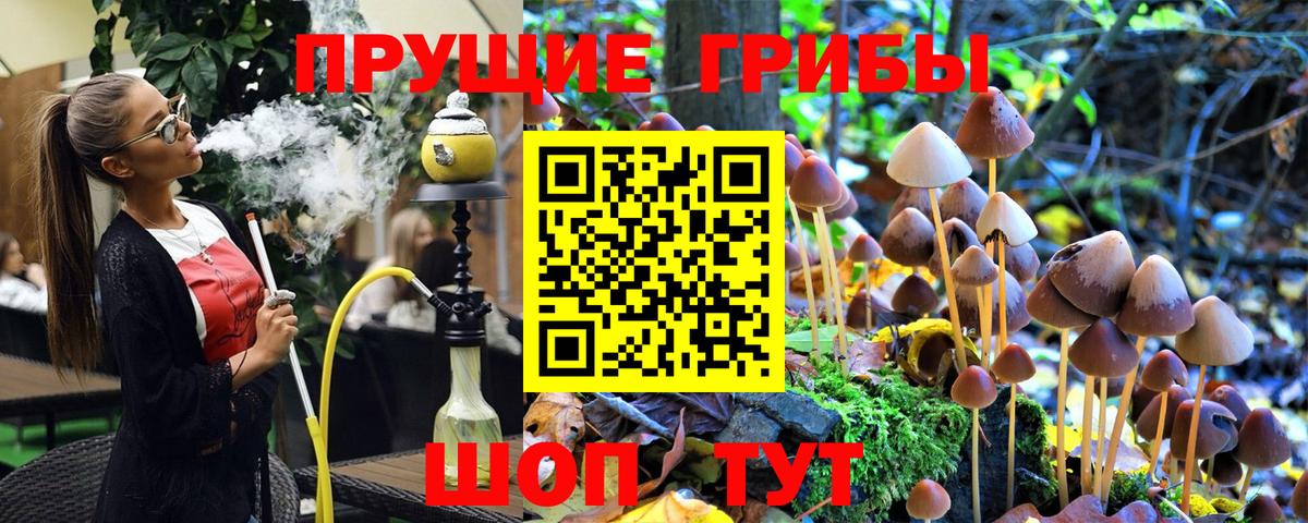 Псилоцибиновые грибы Psilocybe  Галлюциногенные грибы Magic Shrooms  Сарапул  Вход с VPN 